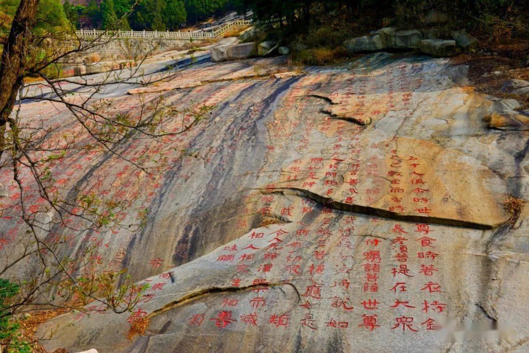 组装机械恐龙3