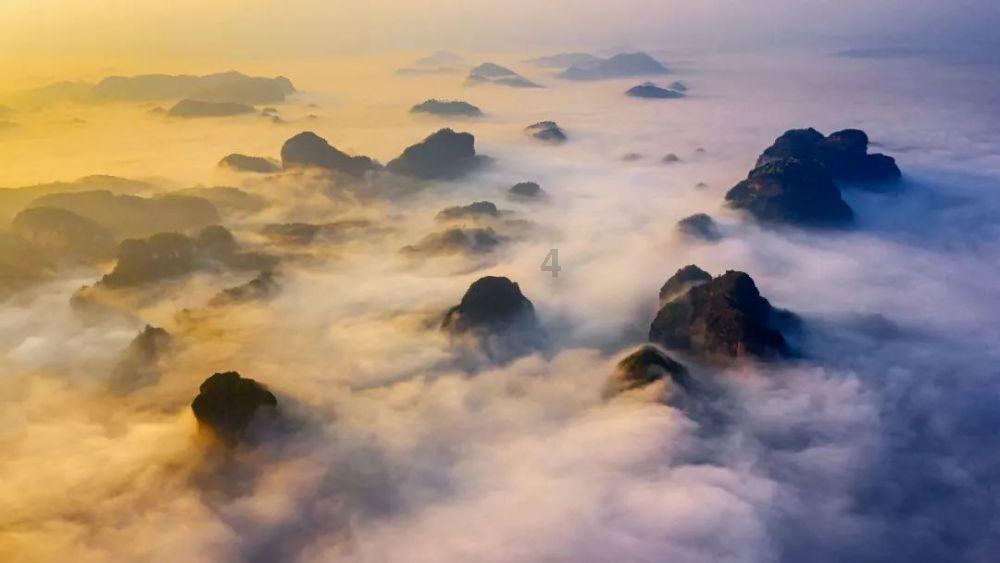 权力与纷争